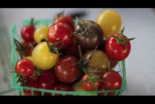 Market Fresh: Cherry and Grape Tomatoes