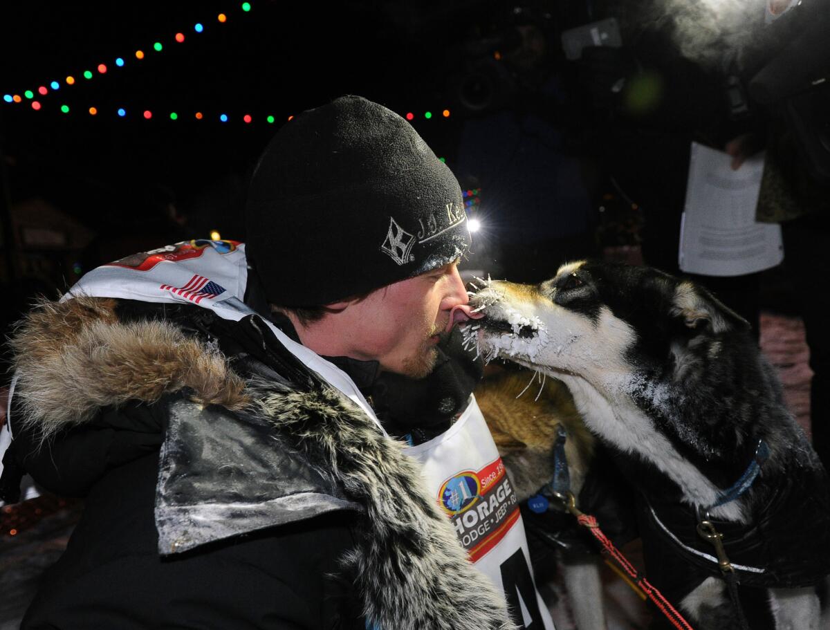 Dallas Seavey gets a kiss from one of his dogs after winning the 2014 Iditarod Trail Sled Dog Race in Nome, Alaska, on Tuesday.