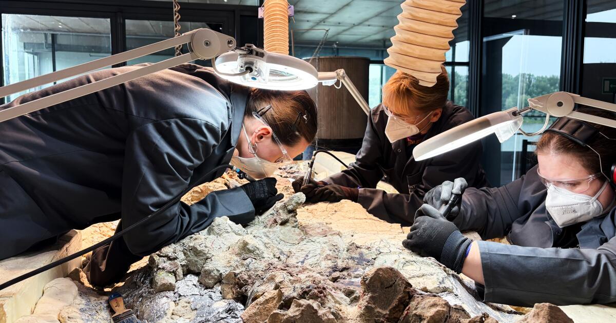 2 000 bénévoles s’impliquent dans la restauration du squelette antique