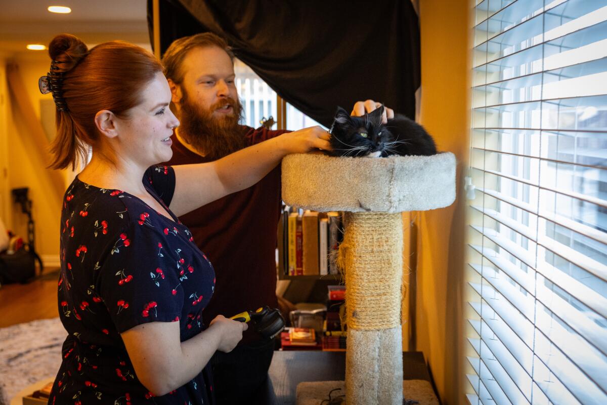  A man and woman pet their cat Sofie near a window with blinds.