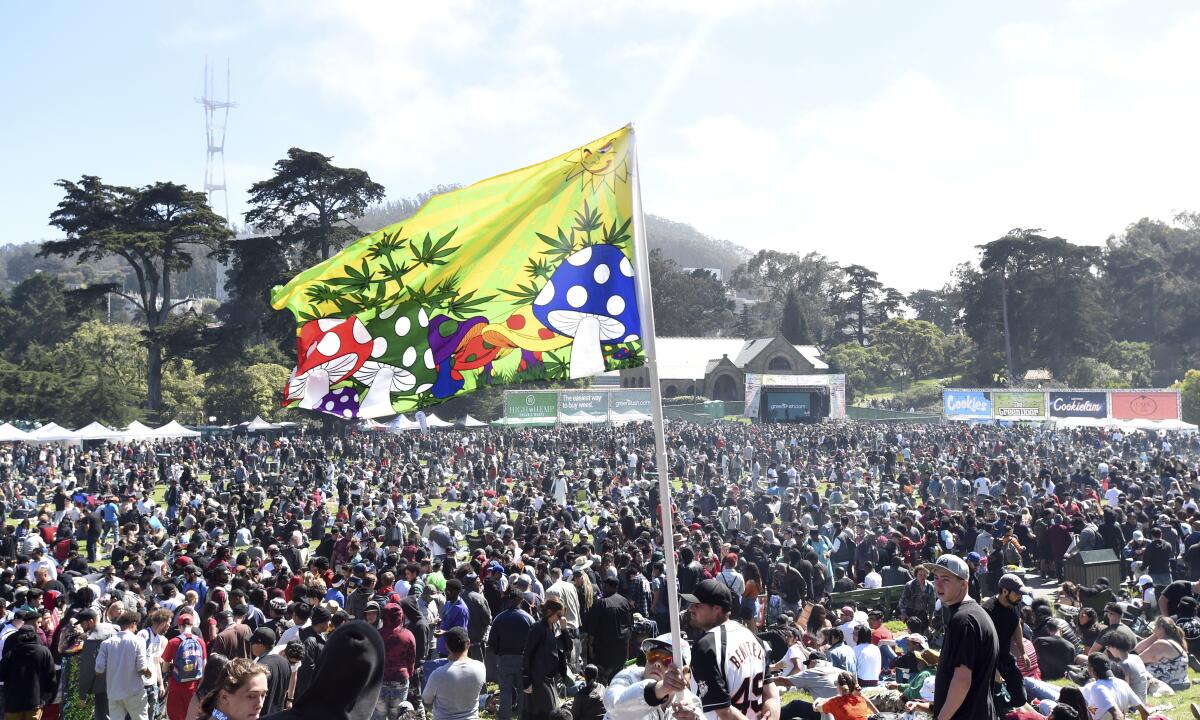 A large crowd packs a field beneath a flag of cartoon mushrooms.
