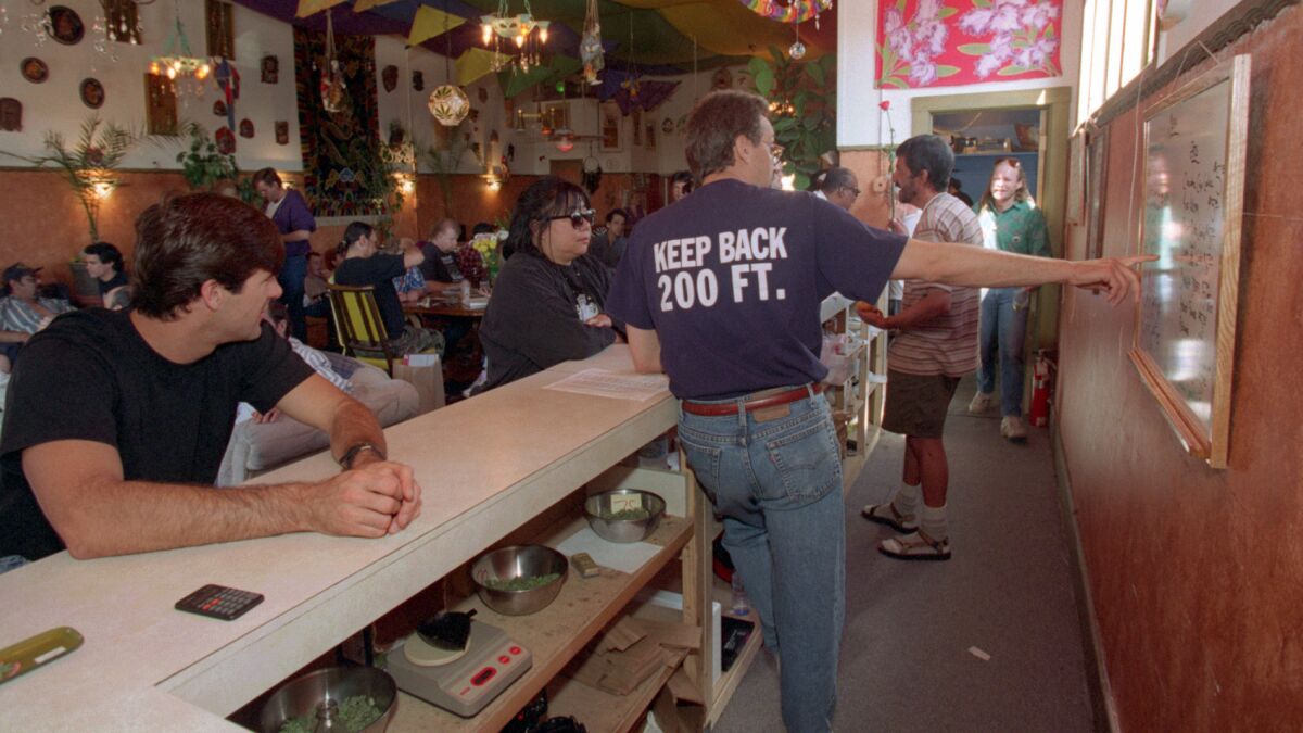 The counter at San Francisco's Cannibus Buyers Club in 1995.