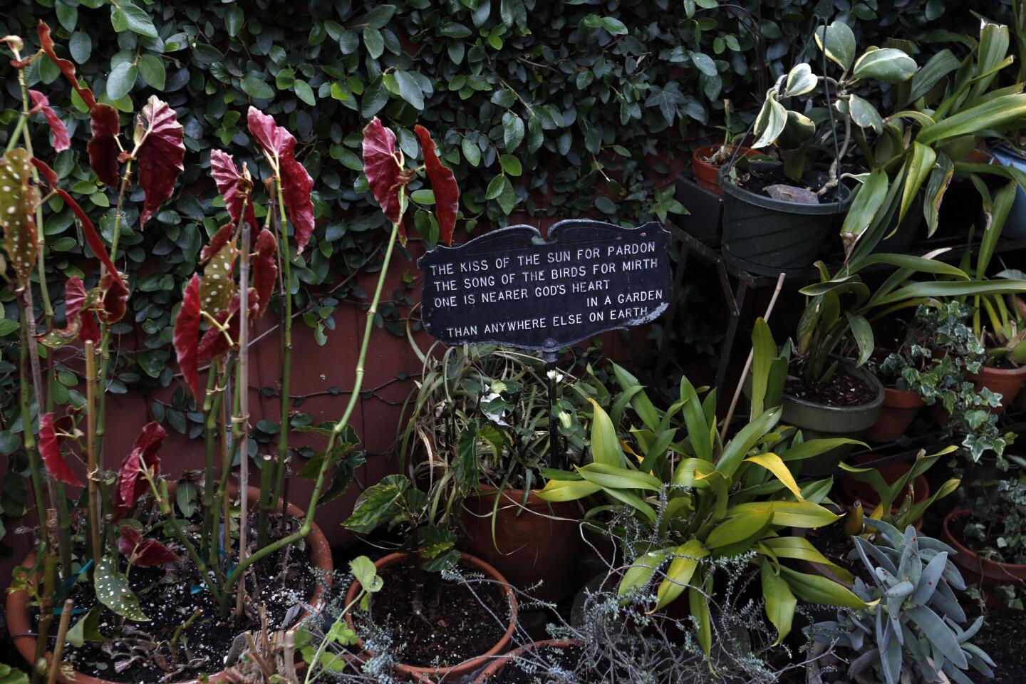 Julie Newmar's garden