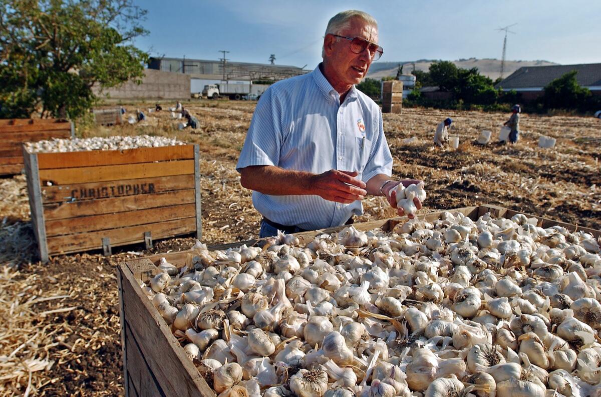 Don Christopher holding garlic bulbs on a ranch