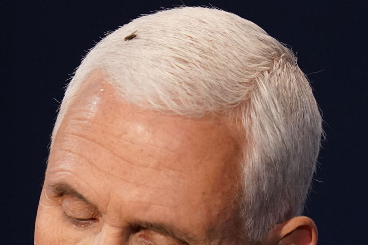A fly perches on Mike Pence's hair.