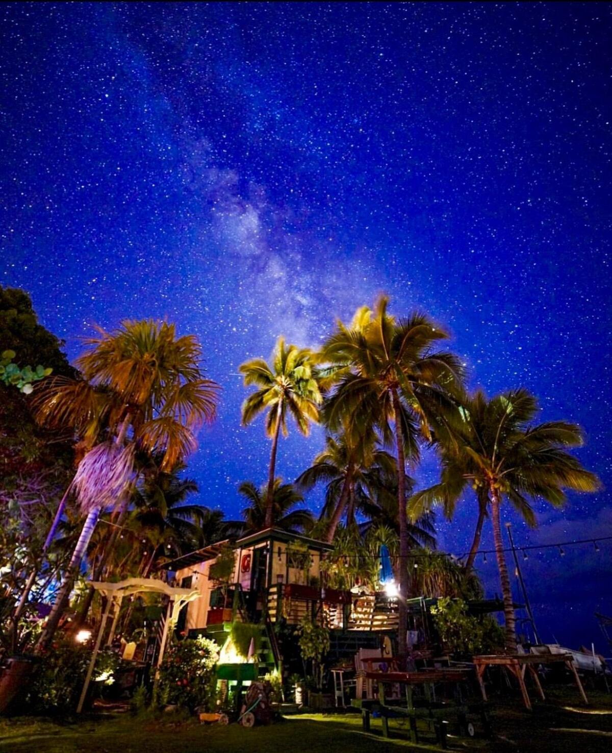 A night photo of Terry Weaver’s treehouse before the entire property was destroyed.