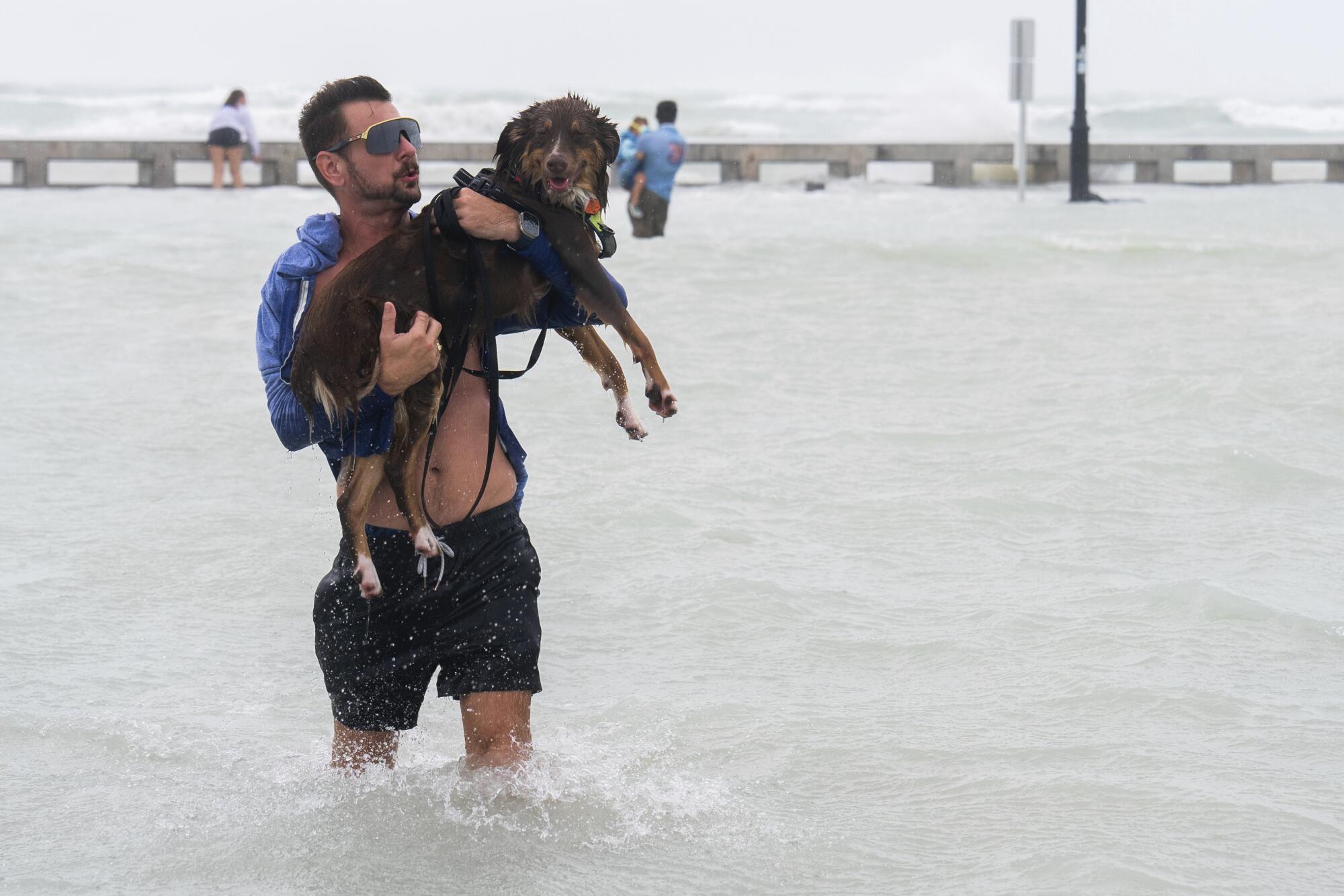 A man carries his dog through thigh-high water