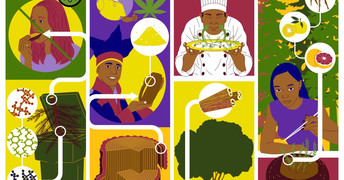 How to eat a tree - Los Angeles Times