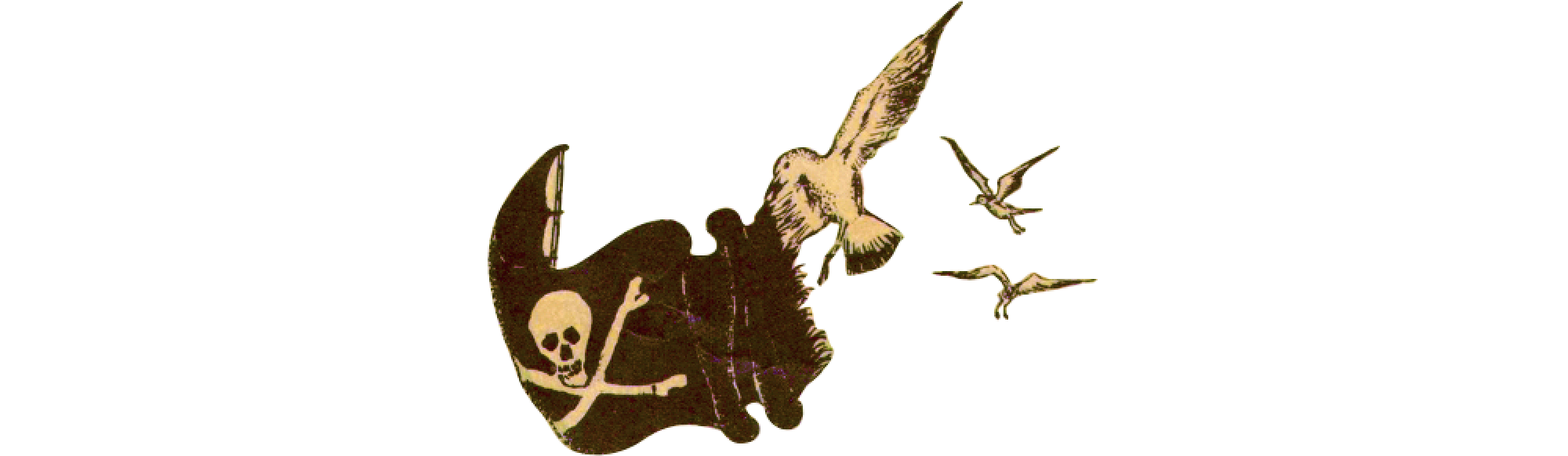 illustration of pirate flag being waved by three gulls