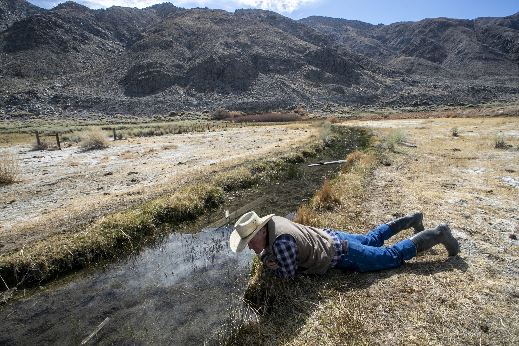 Padraic MacLeish reaches into a ditch looking for black toads