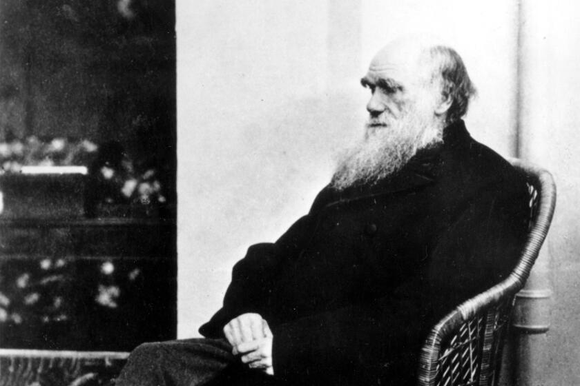 FILE - Charles Darwin poses in a wicker chair in 1875