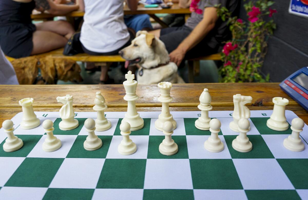 Chess pieces are set up on a chess board.