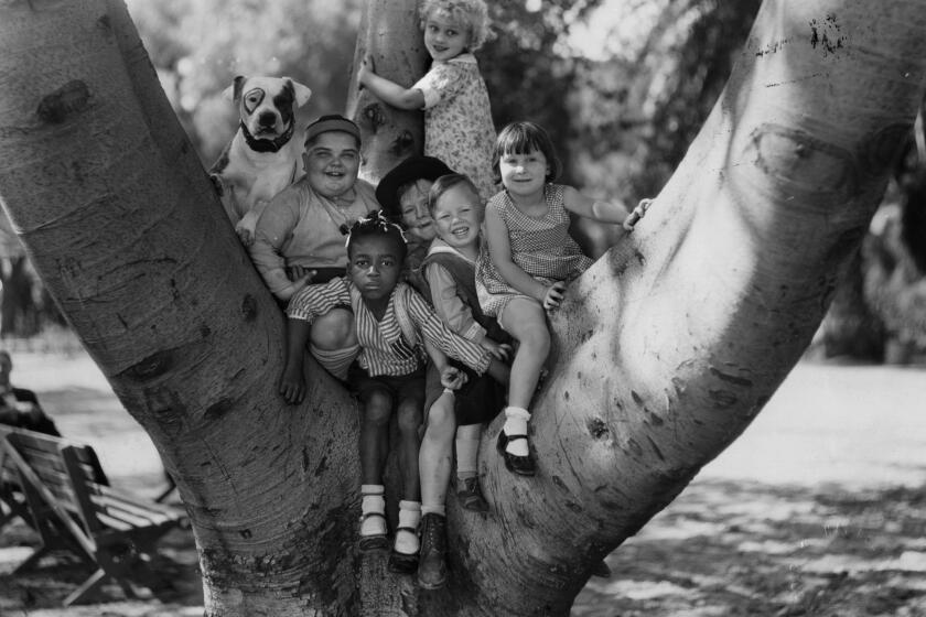 Cast of 'Our Gang' poses in a tree in 1935. From left to right: Patsy the dog, Joe Cobb, Farina, Harry Spear, Wheezer, Mary Ann Jackson, and Jean Darling standing.