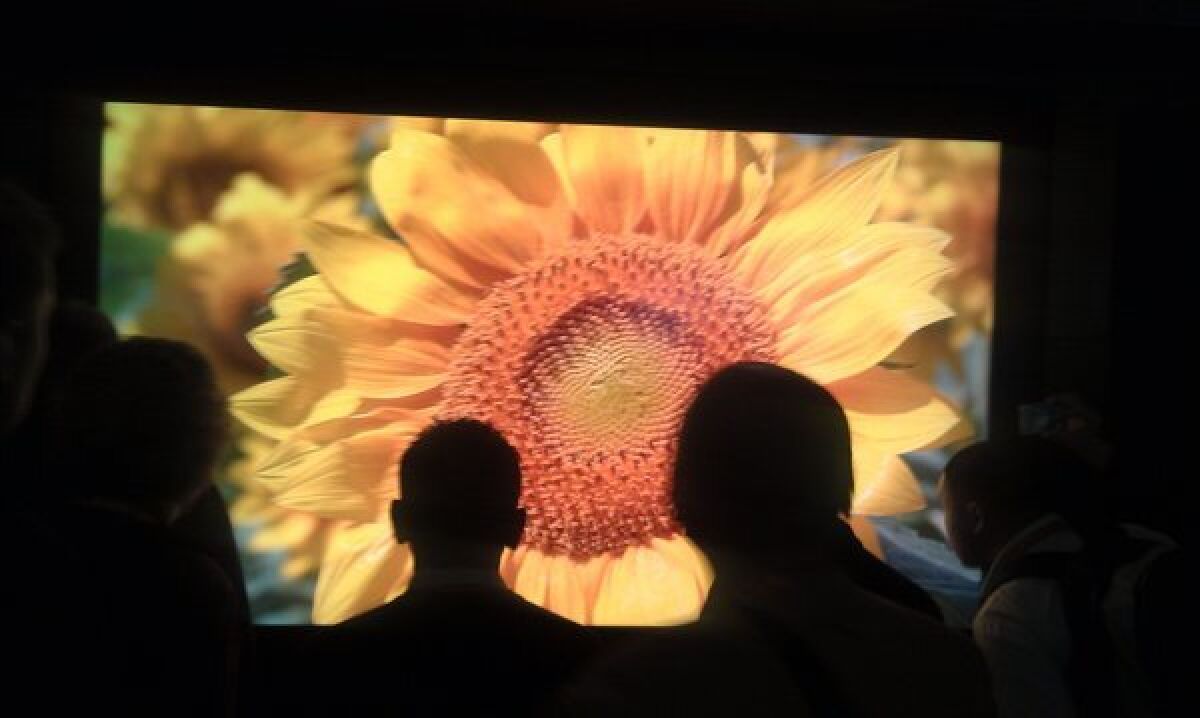 Attendees inspect Sharp's 8K TV prototype at the Consumer Electronics Show in Las Vegas.