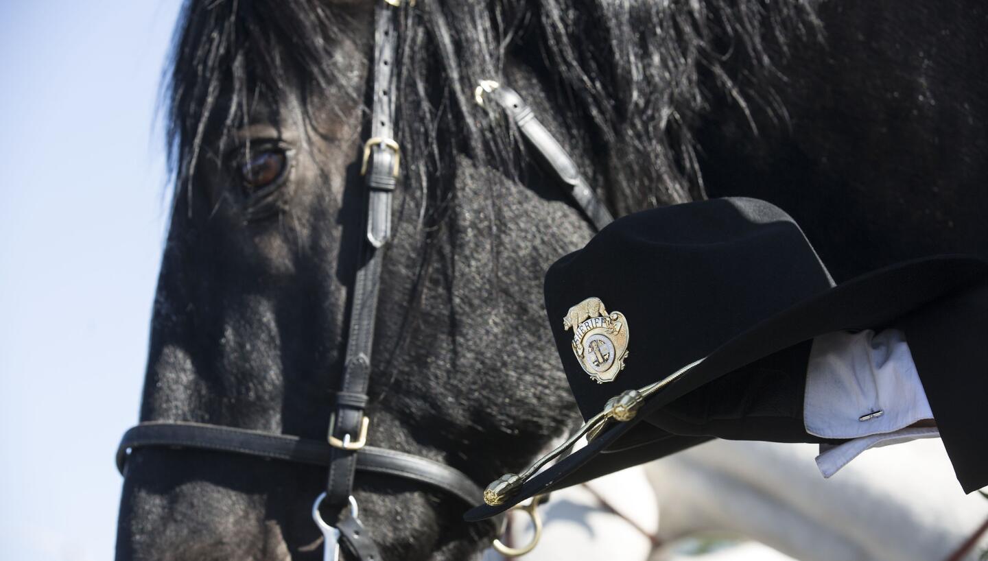 Los Angeles County Sheriff's Sgt. Steve Owen