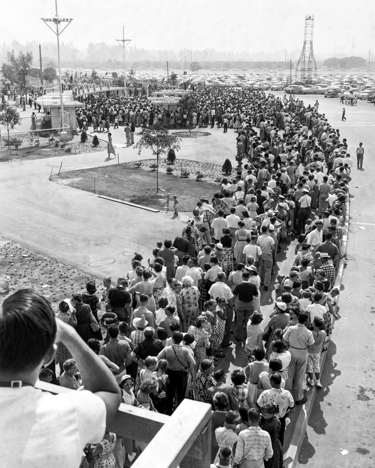An archival black-and-white photo of a long line of people waiting to enter Disneyland.