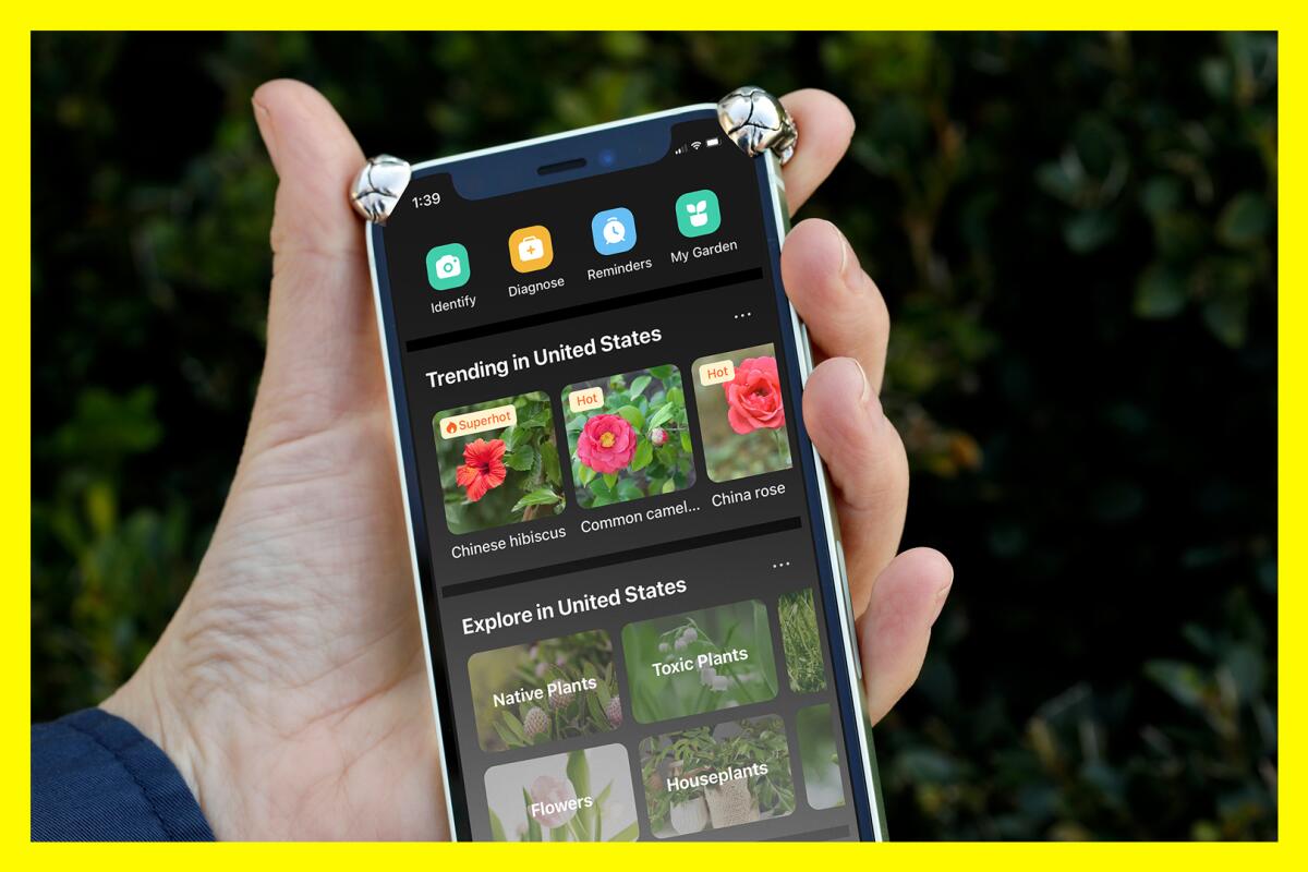 A hand holding a smartphone with pictures of plants on it. 