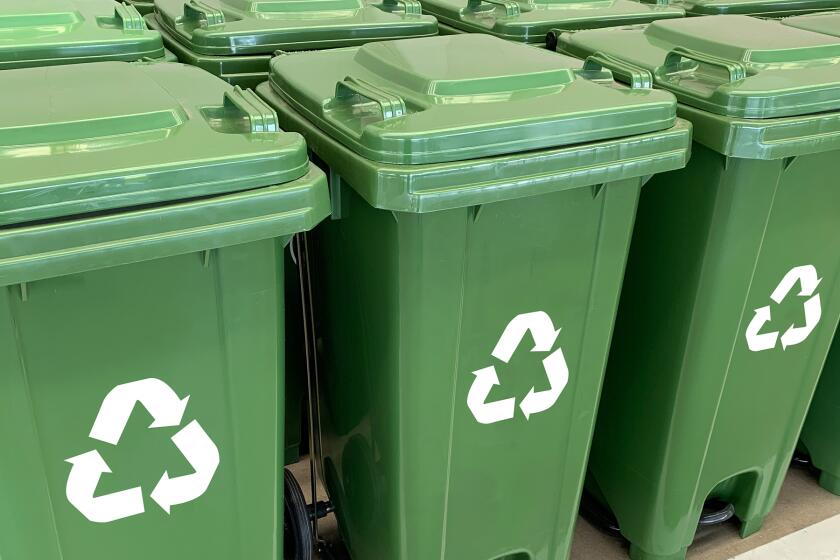 green recycling bins