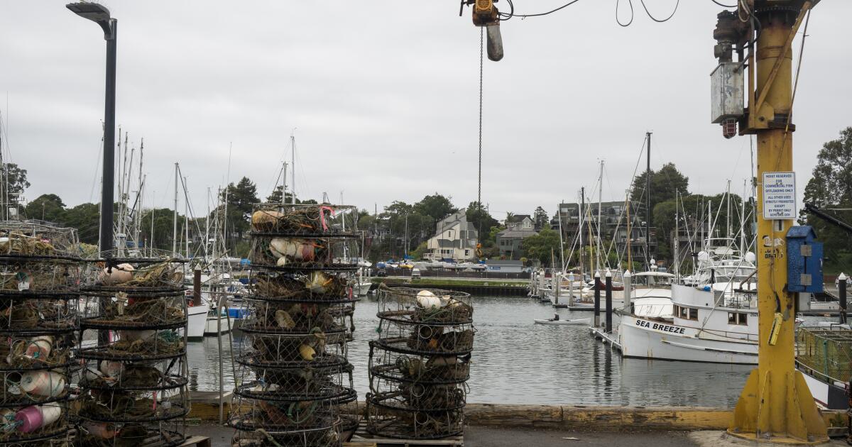 U.S. panel calls for suspending commercial salmon fishing in California for third year