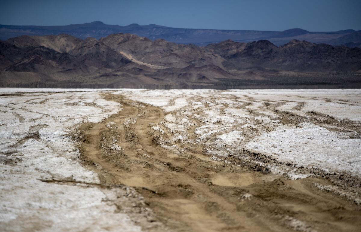 Huellas de neumáticos en Mojave Road mientras atraviesa el lecho seco del lago Soda. 