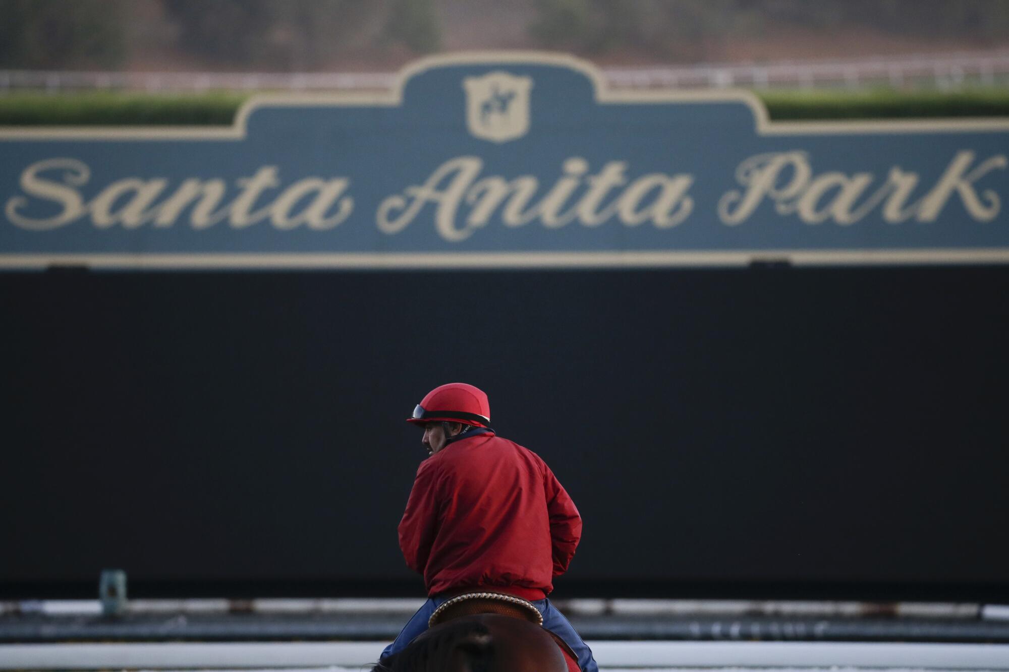 An outrider waits by the track as horses train for the Breeders' Cup races at Santa Anita Park in 2014.