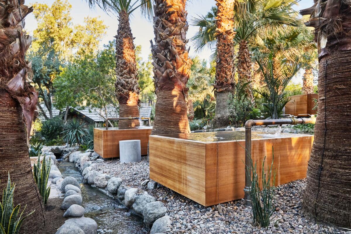 Rectangular wooden containers filled with water stand amid palm trees and rocks.