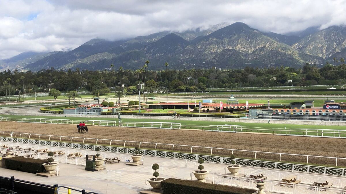 Twenty-four horses have died at Santa Anita Park since the start of the track's winter/spring meet in December.