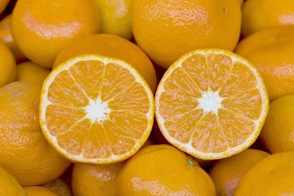 Honey mandarins