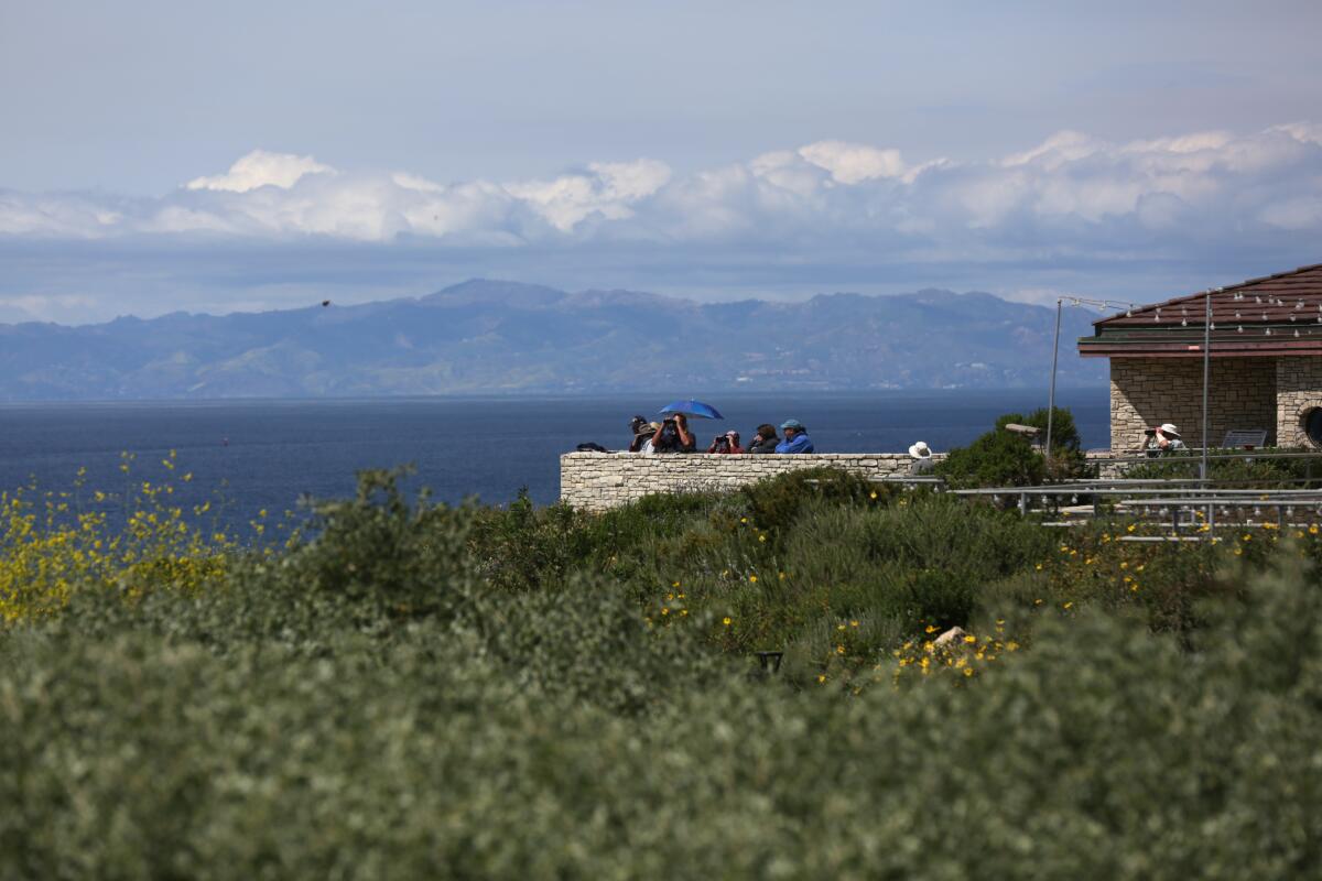 Whale spotters on a lookout point at Point Vicente Interpretive Center, with the Pacific Ocean and mountains in the distance.