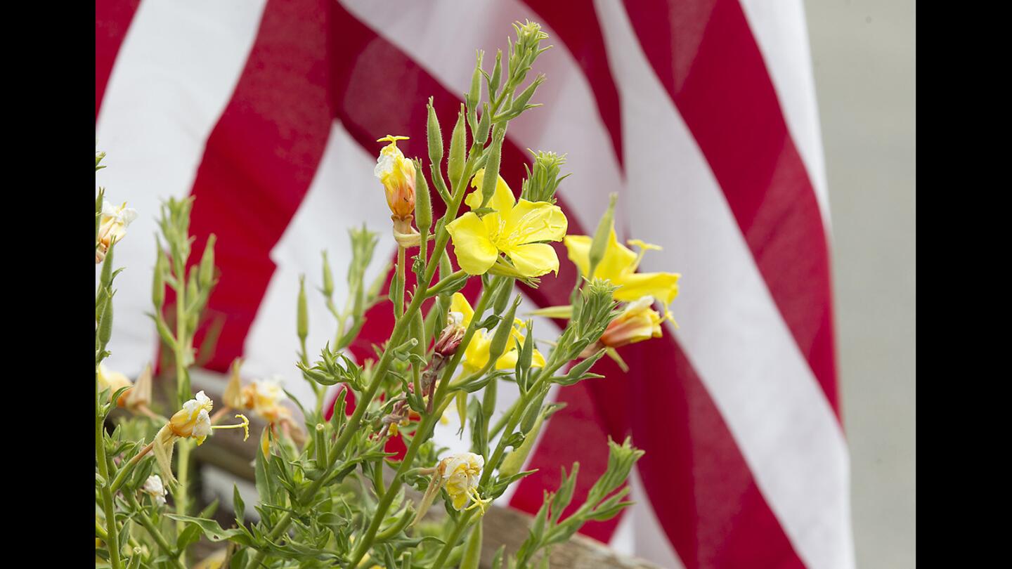 Field of Honor Posts Up for Weekend