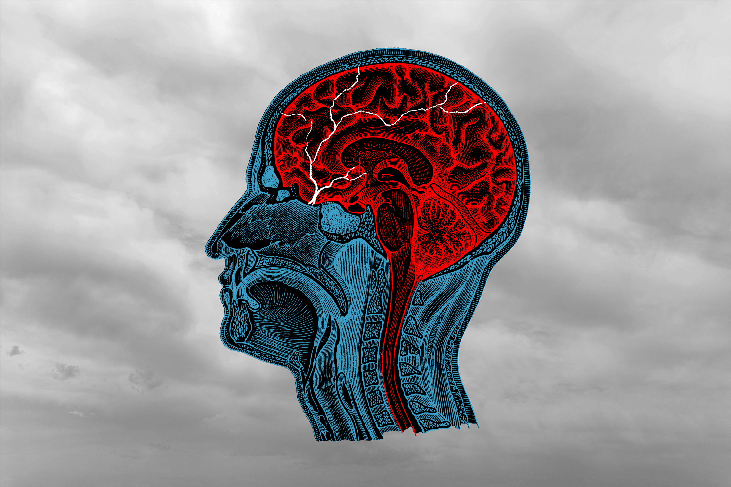 anatomical head engraving with animated lighting in the brain on a cloudy sky background