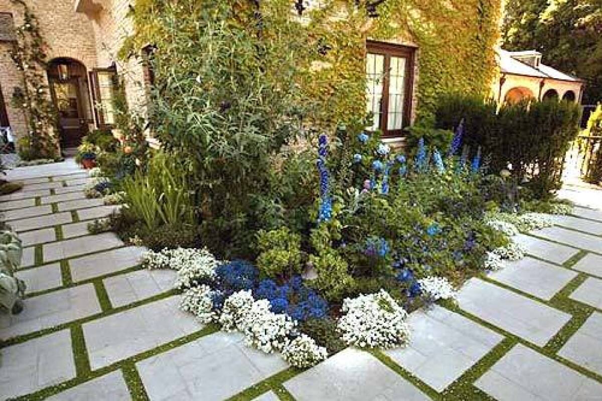 A butterfly bush hovers over white alyssum and vivid blue lobelia lining an English border in L.A., modeled after the airily textured concepts of British designer Gertrude Jekyll. A meandering ladder of climbing roses clings to the far wall, while yew hedges, at right, add privacy and a backdrop for the floral palette.