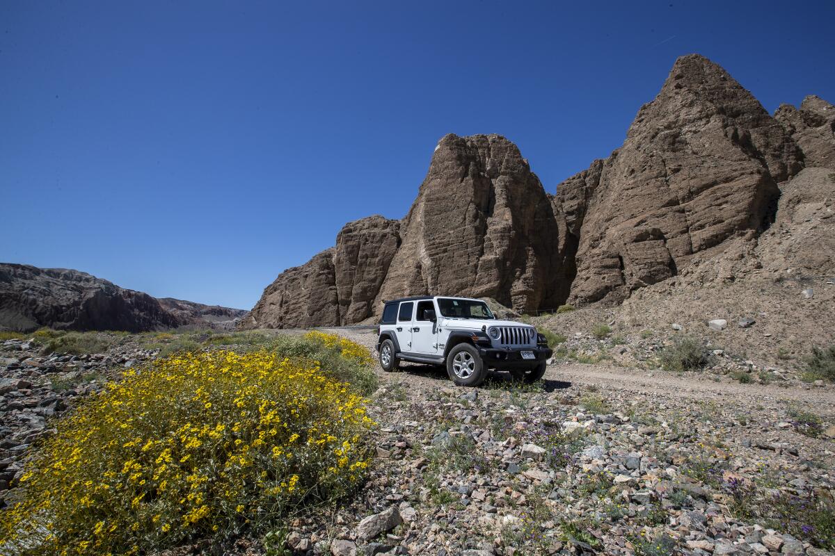 Four wheelers navigate Afton Canyon, also known as "The Grand Canyon of the Mojave."