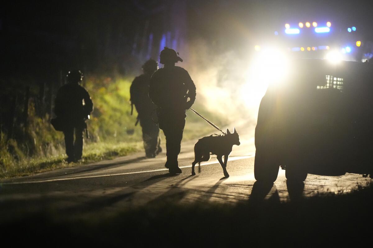 A member of law enforcement walks with a police dog at night, silhouetted by bright lights in the distance.