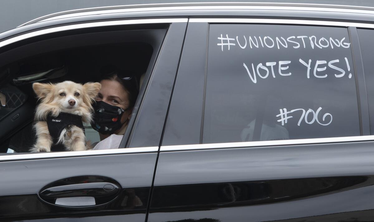 A woman and her dog sit in her car, on which is written "#UnionStrong Vote Yes #706," at a rally. 