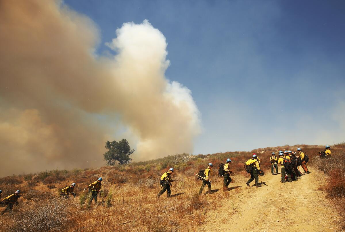 Firefighters prepare as flames from the Alisal Fire move toward La Paloma Ranch near Refugio Canyon.