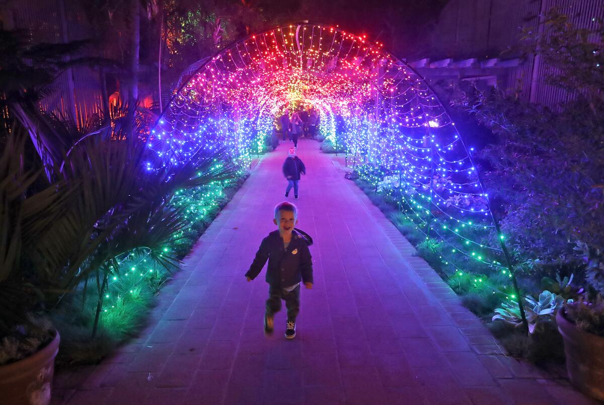 Kids run through a light tunnel at the Sherman Library and Gardens' 2020 presentation of 'Nights of a 1,000 Lights' event.