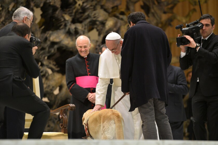 Pope Francis (C) caresses a guide dog during a private audience to members of the medias on March 16, 2013 at the Paul VI hall at the Vatican.
