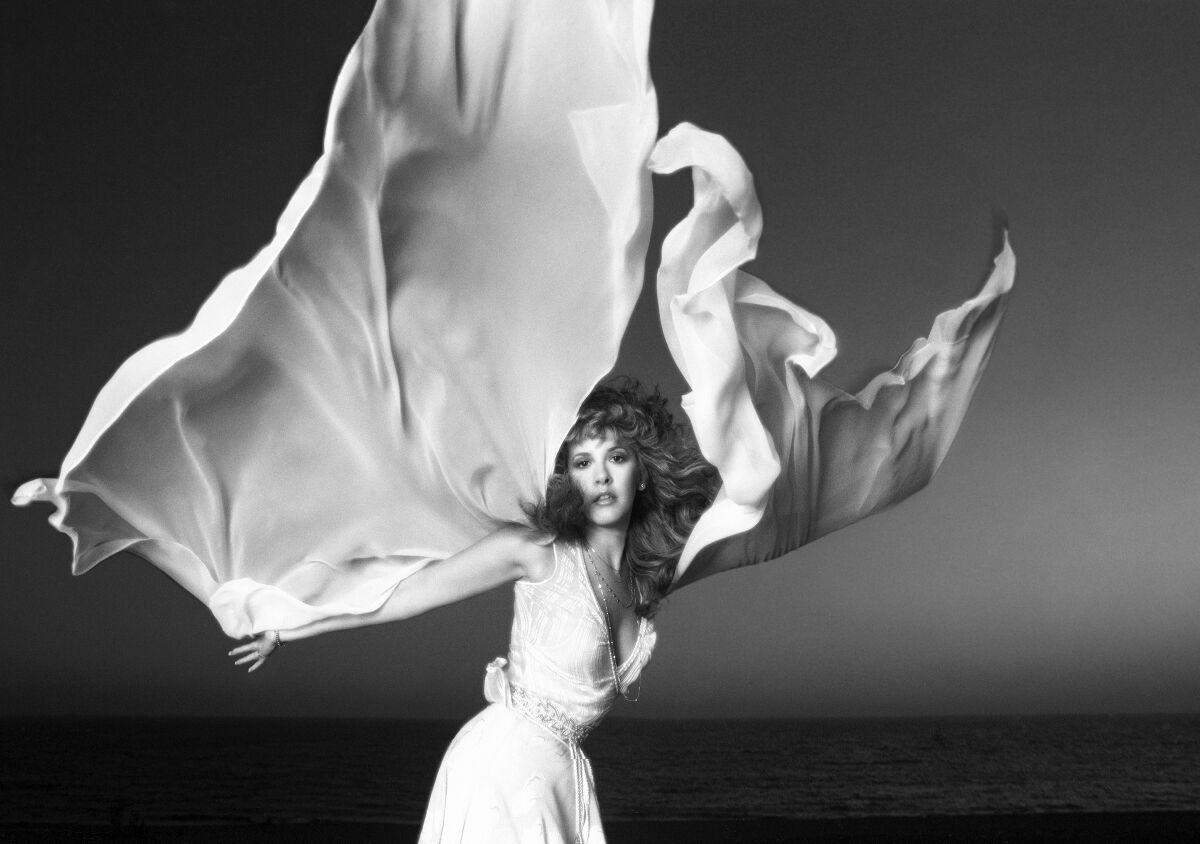 Stevie Nicks
