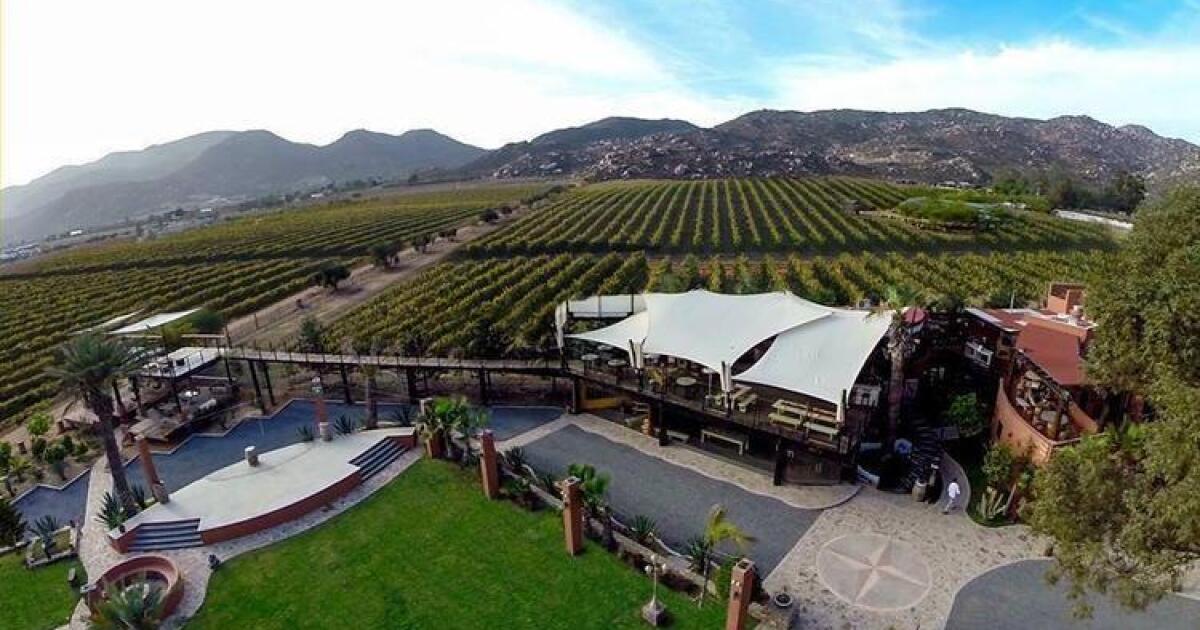 Boutique Hotel Valle de Guadalupe: A Perfect Getaway in Mexico