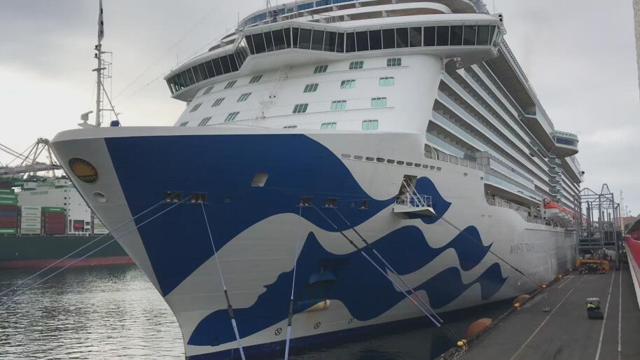 cruise ship capacity covid
