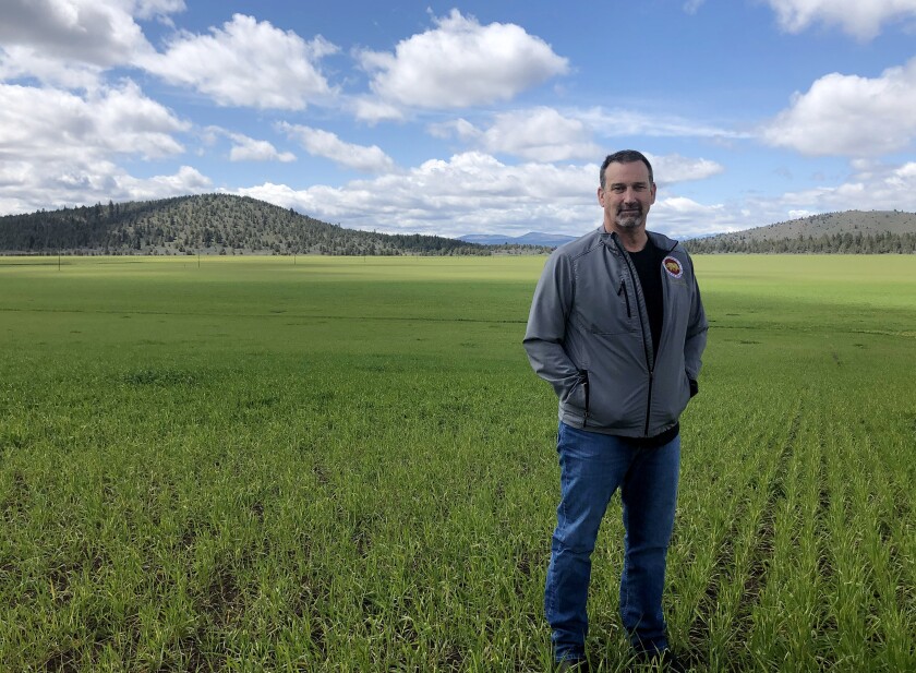 Brian Dahle standing in a field of green plantings, with low hills in the background.
