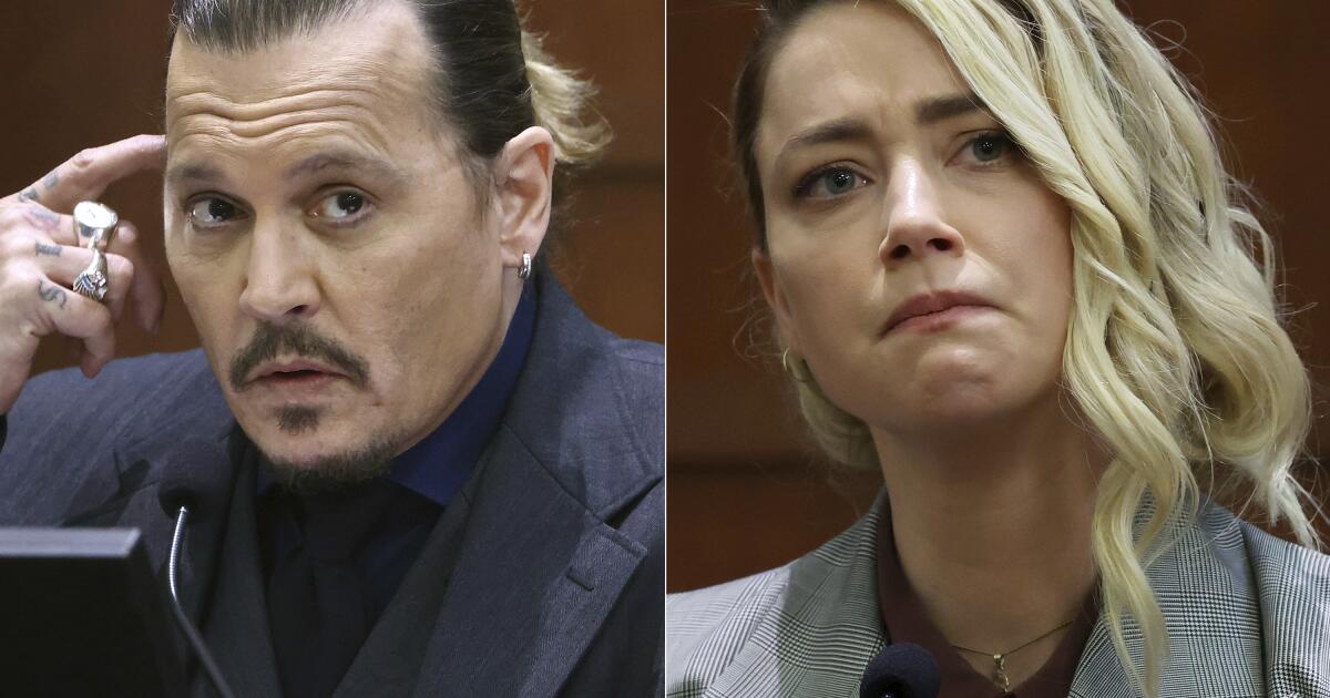 Amber Heard's 'My dog stepped on a bee' testimony mocked on TikTok The  Johnny Depp-Amber Heard defamation trial has been dominating headlines for  weeks, By lovelyti