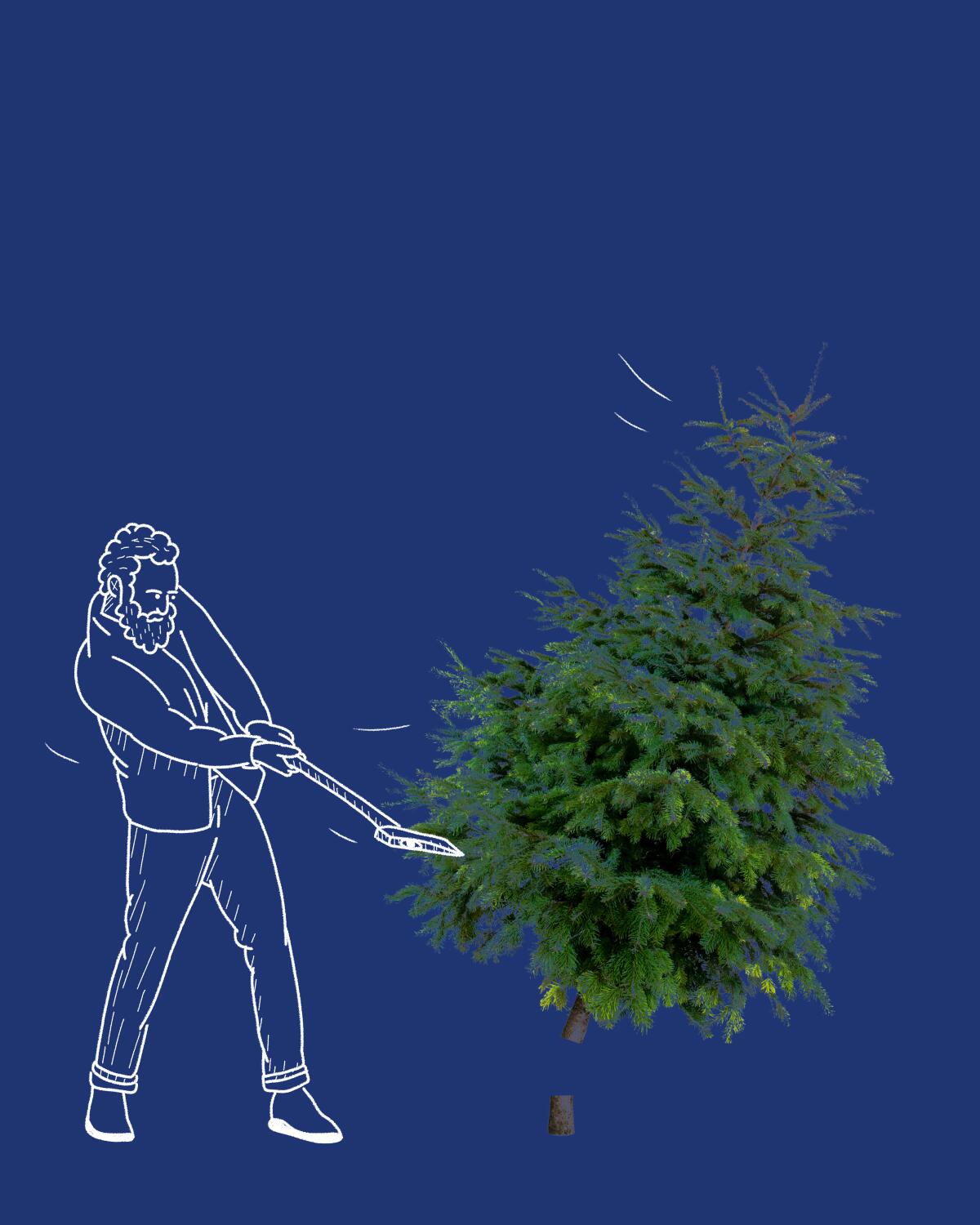 There are plenty of places in L.A. to cut your own Christmas tree.