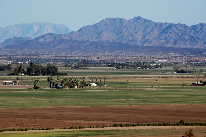 BLYTHE, CALIF. - SEP 7, 2021. Agricultural fields spread out across the Palo Verde Valley in Blythe. The Metropolitan Water District is working with local growers lto leave some of their fields fallow in exchange for cash payments. The desert agricultural industry in Blythe draws water from the nearby Colorado River, and the goal is for farmers to use less river water and allow unused supplies to serve the needs of people in urban areas downstream. (Luis Sinco / Los Angeles Times)