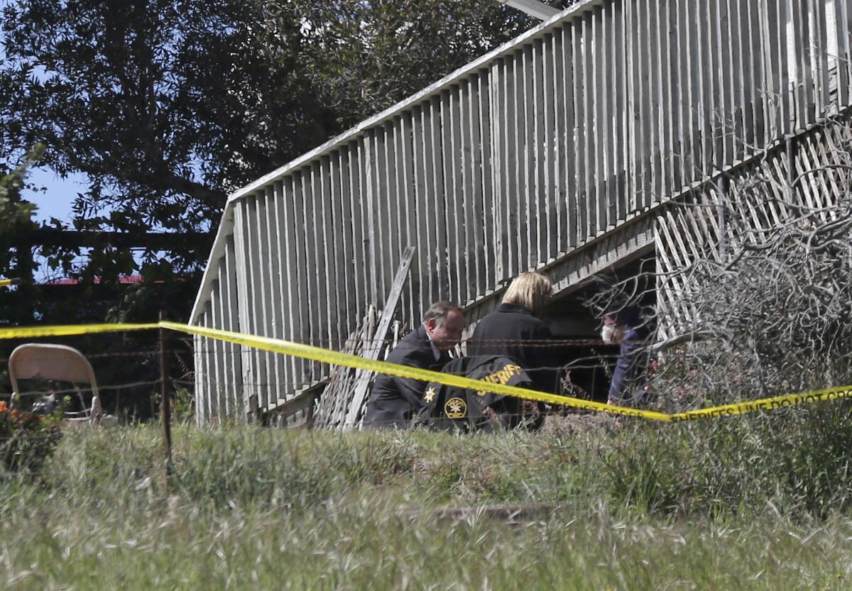San Luis Obispo County sheriff's officials dig under a deck at the home of Ruben Flores.