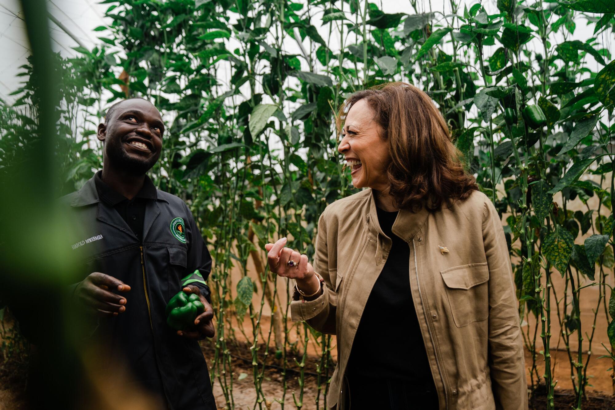 Vice President Kamala Harris speaks with a man while touring a farm.