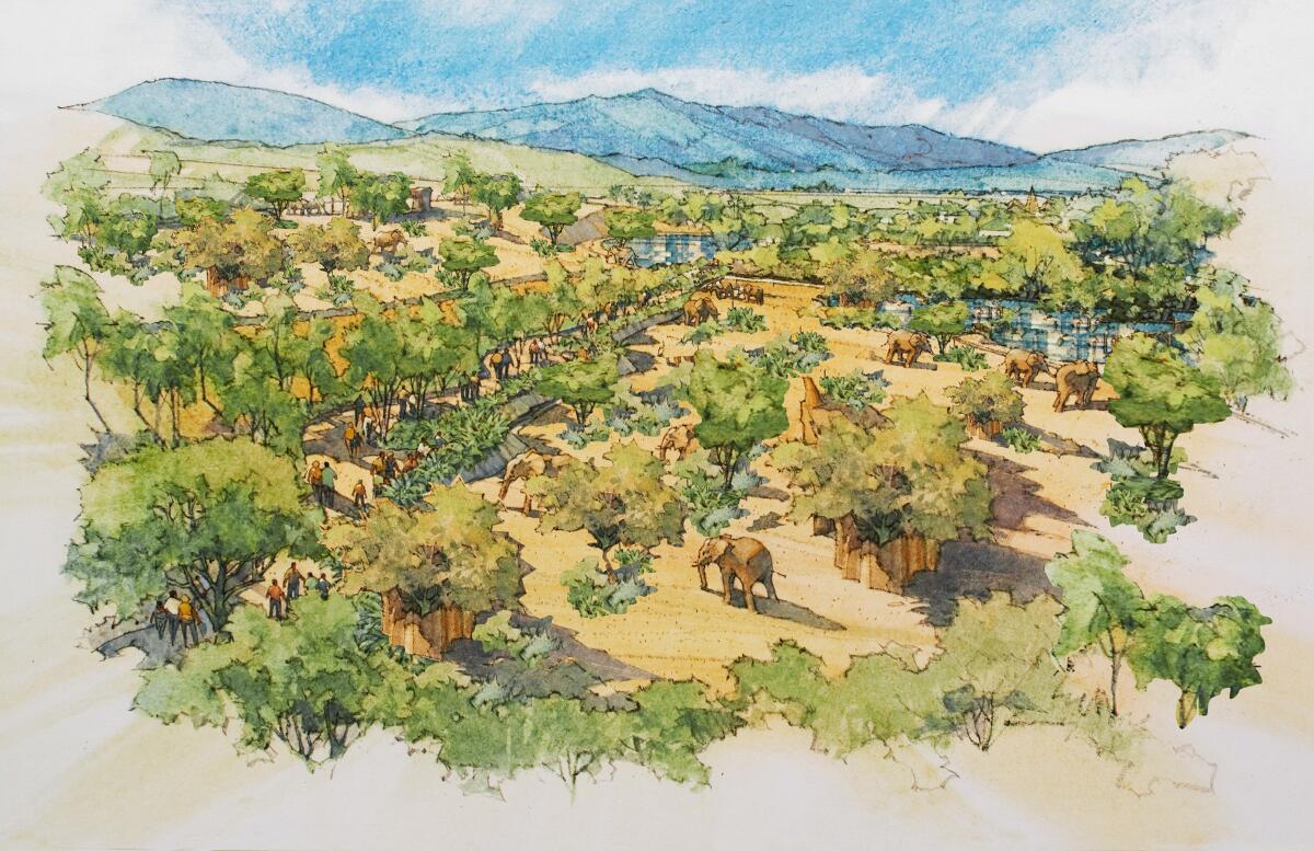 An artist's rendering depicts the elephant exhibit under construction at San Diego Zoo Safari Park.