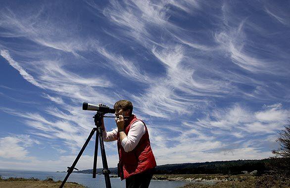 Diane Hichwa, a member of the Madrone Audubon Society, observes birds off the shore of the Sea Ranch in Northern California. Hichwa is a leader of a group of people who encouraged the Coastal Commission to ban the annual public fireworks in the town of Gualala, seen in the background.