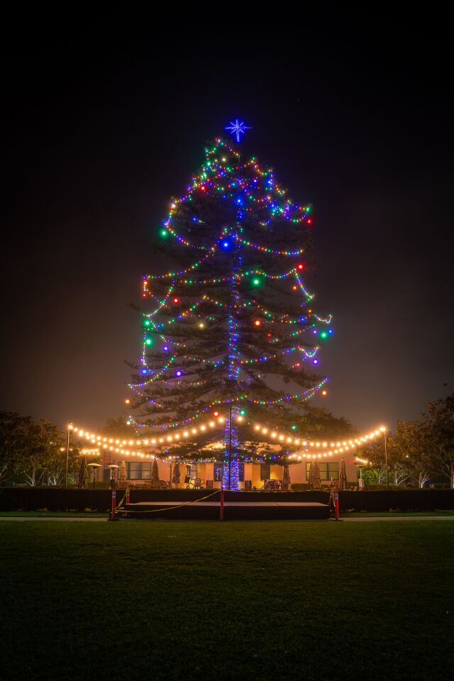 Liberty Station's 88-foot Norfolk pine tree at the North Promenade is lighted for the holidays.